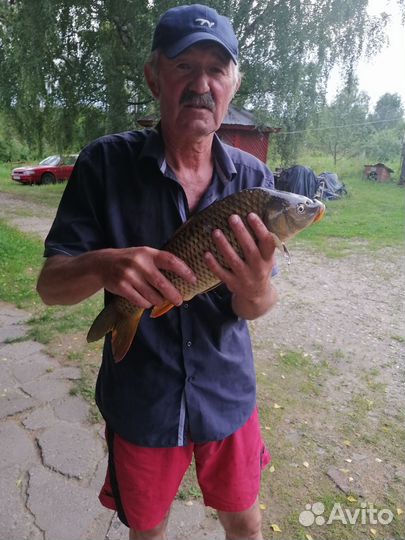 Рыбалка в Шваново