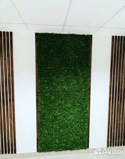 Панно из стабилизированного мха