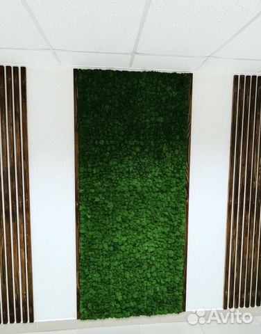 Панно из стабилизированного мха