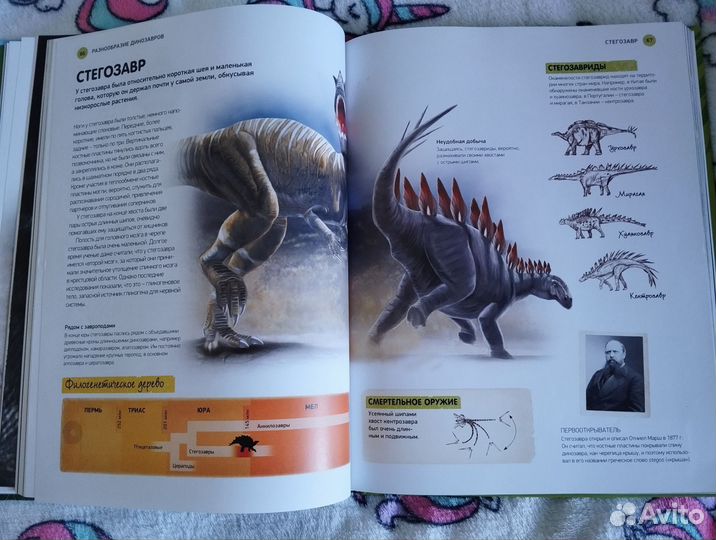 Энциклопедия всё о динозаврах Махаон