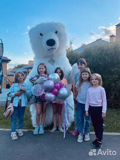 Танцующий Белый Мишка Поздравление