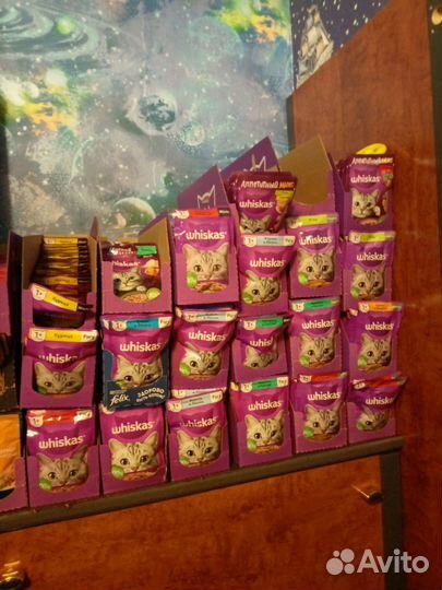 Корм для кошек