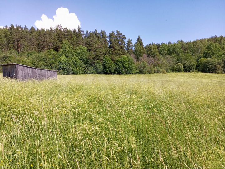 Участок 15 сот. (СНТ, ДНП)