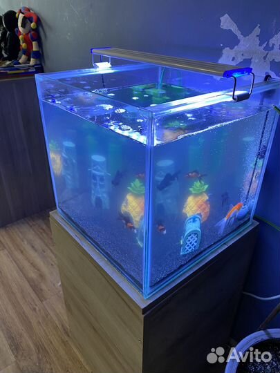 Аквариум с рыбками
