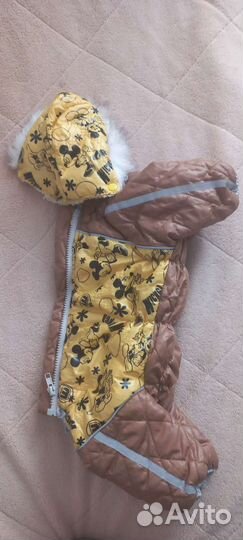 Костюм для собаки