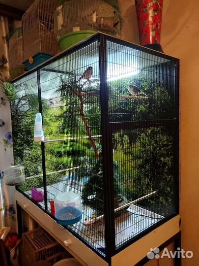 Клетка вольер для птиц