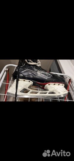 Коньки bauer vapor X800