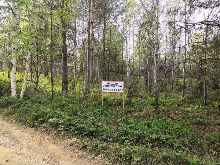 Участок 16 сот. (СНТ, ДНП)