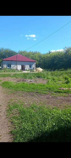 Участок 33 га (СНТ, ДНП)