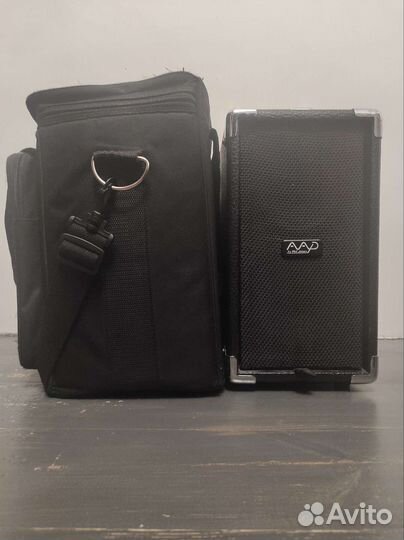 Компактный 100 вт комбоусилитель Phil Jones AG100