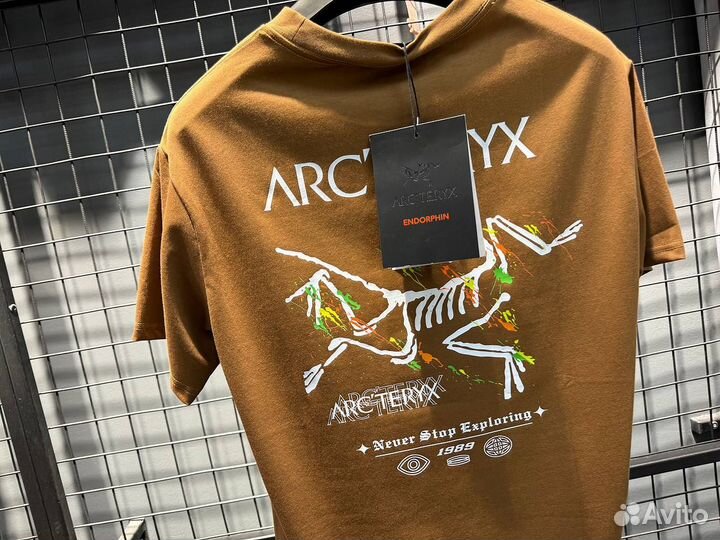 Футболка мужская arcteryx (Арт.28341)