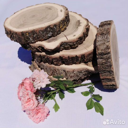 Дубовые спилы с корой