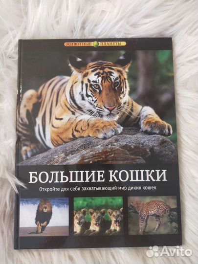 Энциклопедия