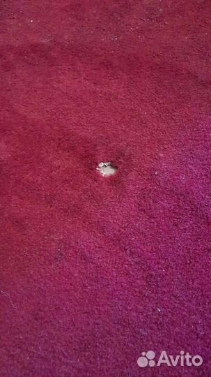 Палас ковёр 4.5х3