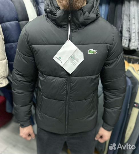 Зимние куртки Lacoste