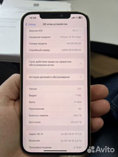 iPhone 12 Pro Max, 256 ГБ