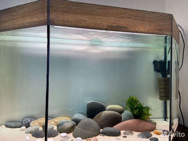 Аквариум