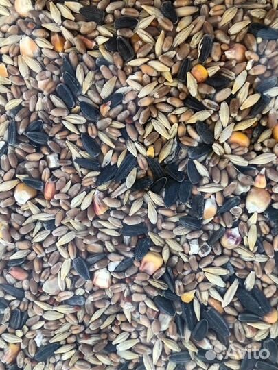 Зерносмесь цельная 5 злаков