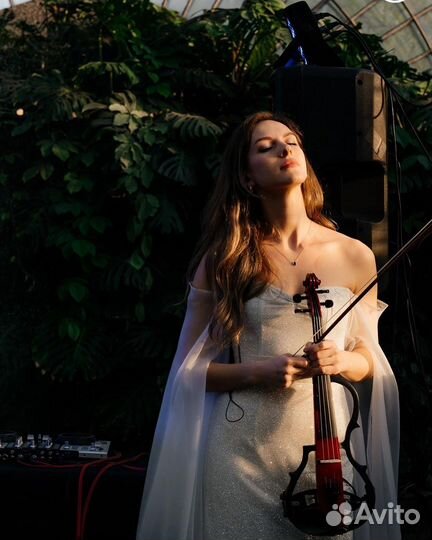 Скрипка, струнный квартет, дуэт, трио