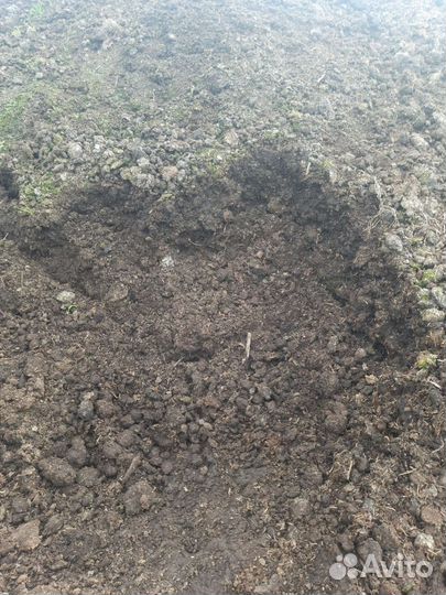 Чернозём луговой.Компост, перегной, навоз