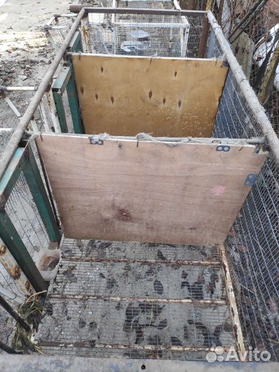 Клетки для с/х животных (кролики, нутрии)