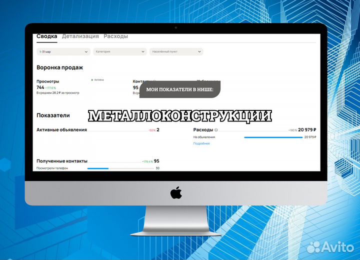 Профессиональный Авитолог. Продвижение на Авито