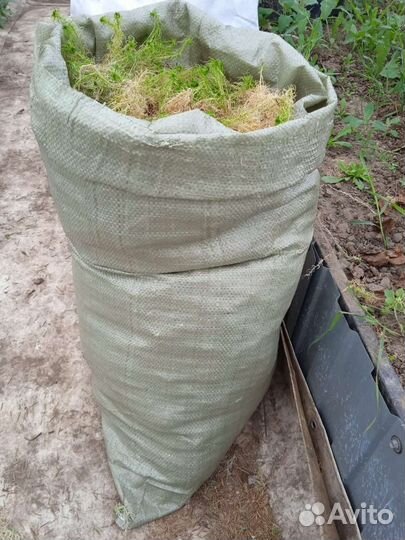 Мох сфагнум(в мешках)