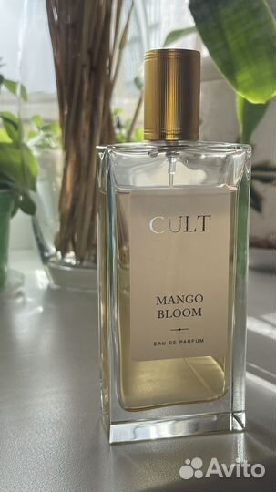 Туалетная вода женская cult mango bloom