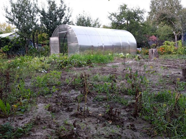 Участок 7,5 сот. (СНТ, ДНП)