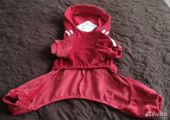 Одежда для питомцев