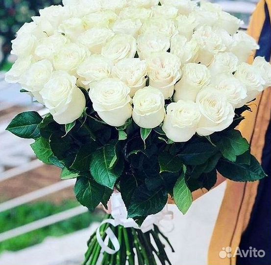 Высокие розы Гигантские розы Доставка цветов