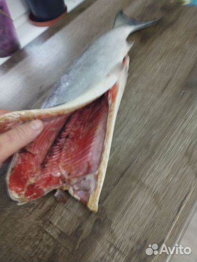 Нерка, красная рыба