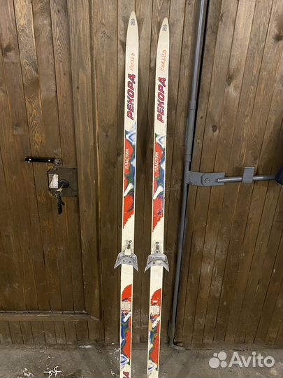 Лыжные ботинки