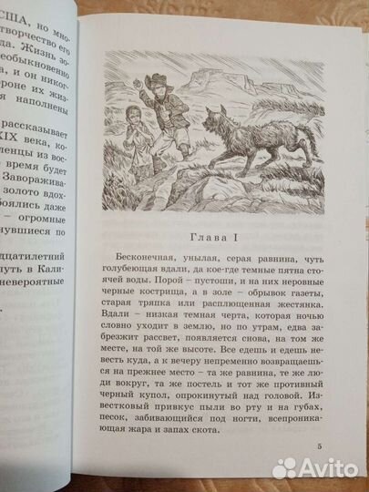 Книга Гарт, Степной найденыш