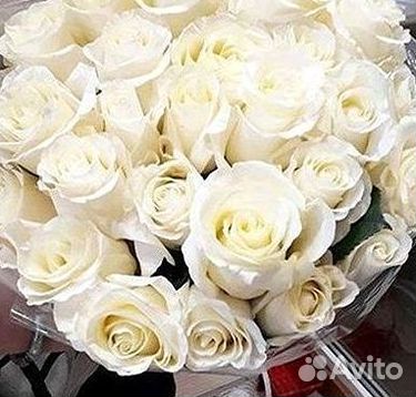 Цветы розы букеты Доставка