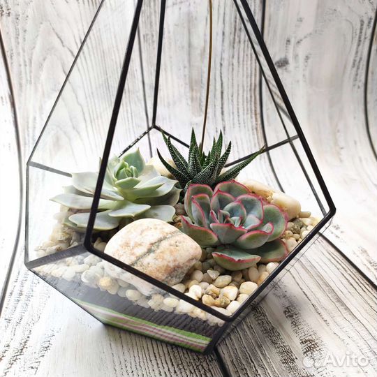 Флорариум, подарок, декор, цветы