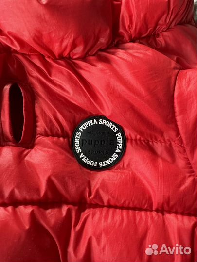 Зимний комбинезон для собаки