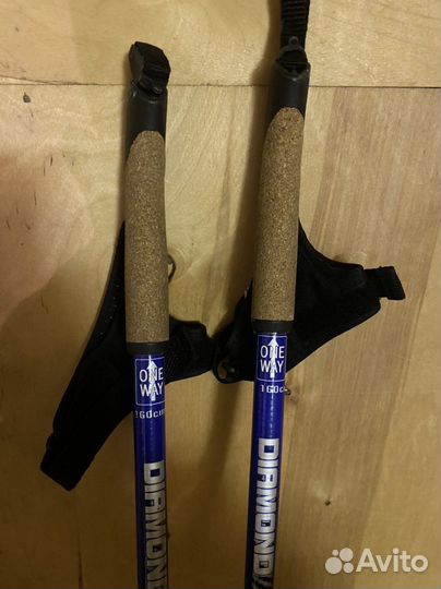 Лыжные палки one way