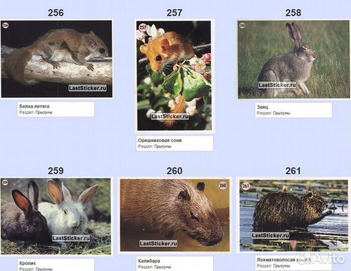 Наклейки панини мир живого