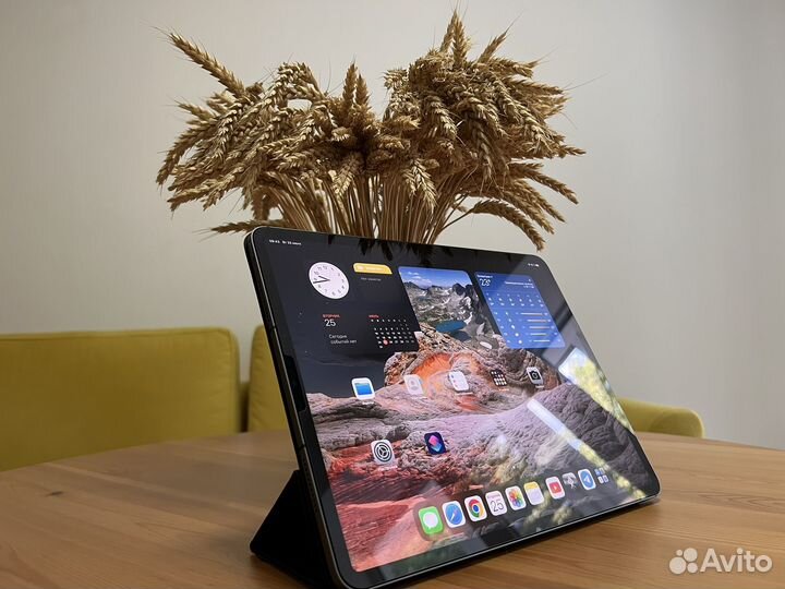 iPad pro 12.9 2021 Wi-Fi + Cellular 512 Gb