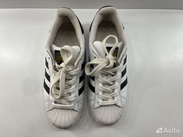 Кроссовки adidas superstar женские