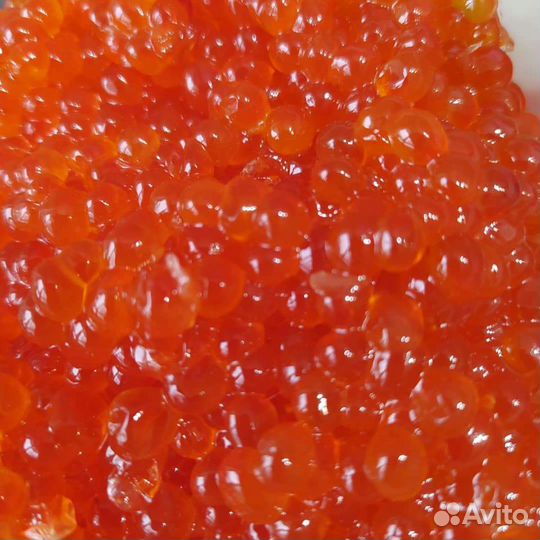 Красная икра розница и опт