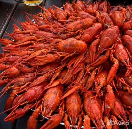Живые и вареные раки