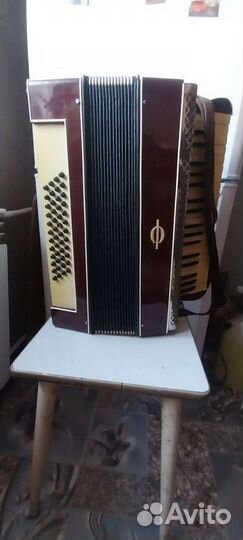 Акардион cantulia ф