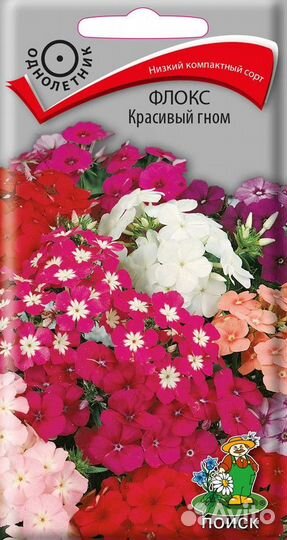 Семена Флокс Друммонда большой выбор доставка