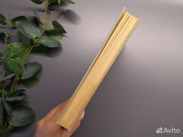 Томек у истоков амазонки 1972