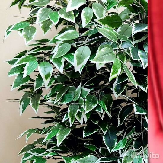 Фикус Пушистый цветок искусственный деревья