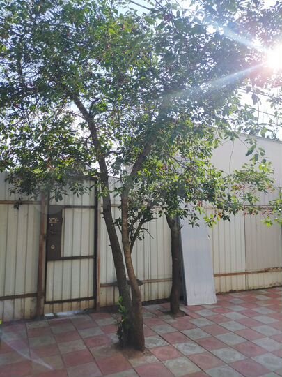 Дом 181 м² на участке 6 сот.