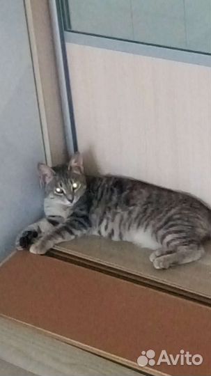 Тонечка в семью