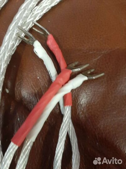 Kimber Kable 12TS 2вида